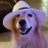edith19860403's profile image