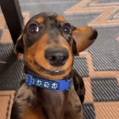 natnaelts's profile picture. 