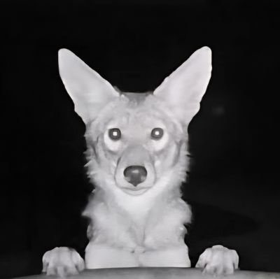 Parker69922's profile picture. ✧──☾•Former #### Current Mariner •☽──✧Cigar Smokin Latina Futch, It/It 2️⃣9️⃣ ✧──☾•Sapphic, Monogamous, Single•☽──✧ ✩₊˚.⋆☾𓃥Western Coyote (Coydog) 𓃦☽⋆⁺₊✧