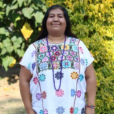 SDCrisOficial's profile picture. Na Savi Ñuu Savi de Guerrero| Mediadores A. C. /Red Nacional de Intérpretes y Traductores de Lenguas Indígenas/Asamblea Nacional Política de Mujeres Indígenas.