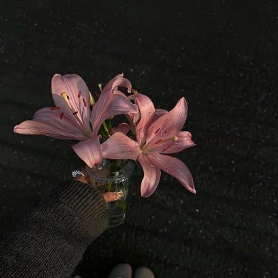 seexew's profile picture. A homo sapiens sapiens | just an acc lhum for fun , ESTJ #aomseexew