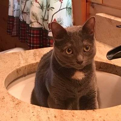 Mia198643's profile picture. Medical industry practitioners, MAGA women, support Trump🇺🇸
Single, 🚫Pornography🚫 Scammer