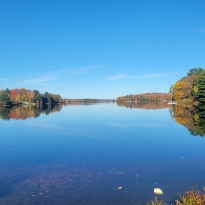 IBMe14's profile picture. Former Democrat voter. #walkaway 

A combat veteran of 21 years. Desert Storm, Kosovo, OIF/OEF