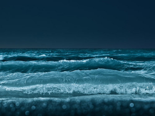 dvdawy's profile picture. 