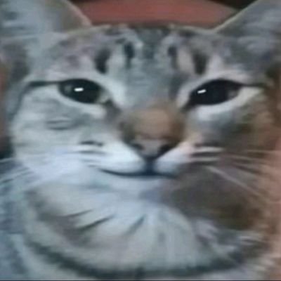 CornEat22TD's profile picture. 