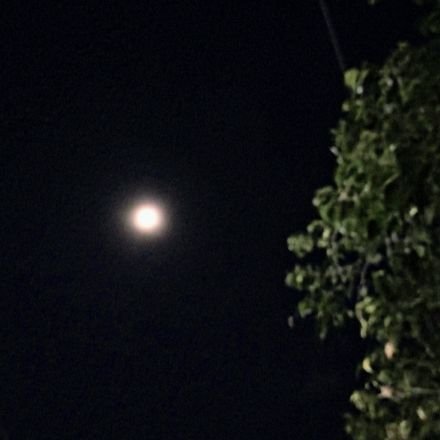 martinhocampos's profile picture. We are not murderers, in spite of what this undertaker thinks...
DC