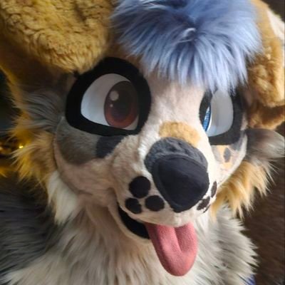 GilaBenderAZ's profile picture. 🌈Doggo and Real Estate Borker.  Friends, community, music, dance, art, and hugs are my vibe. Also here:  https://t.co/z2QQAnFvXe 🔜 PDFC, FC, LVFC🔞