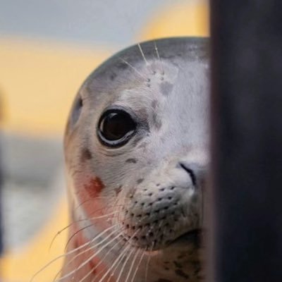 Twelvyz's profile picture. 