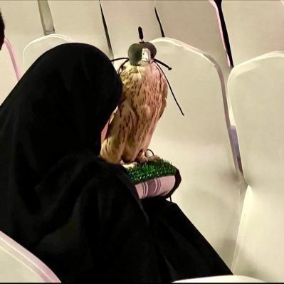 _AB8B's profile picture. اللهم ارحمني حين ترفع روحي إليك وسخر لي من يدعوا لي بعد موتي ، لغة الأحلام لغة مابعد الشعور ، بنيّه على جور الزمان أجوديّه.