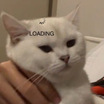 Bloqf4m's profile picture. ENG/KOR Creator | 🩷 🐈 | DYOR 🎰 호 재구축