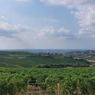 Polpettamarina's profile picture. 