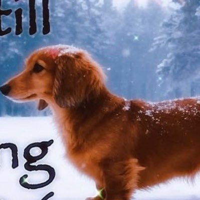 kurdistanjones's profile picture. oomfs only