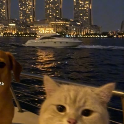 brysontradesnq's profile picture. 