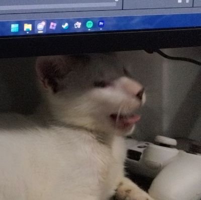 serdines_'s profile picture. le alt account https://t.co/6t7fJT0Q9w