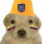 UlloaChristian8's profile picture. 