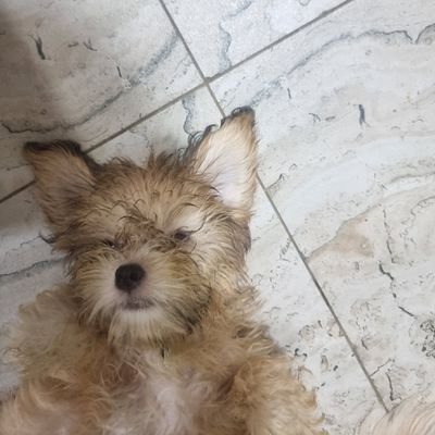 RMonanz's profile picture. In my timeskip arc