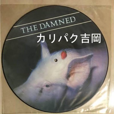 naoking14756's profile picture. カリパクは許されない