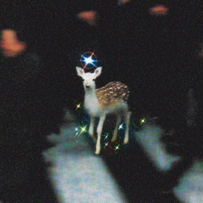 zaitoon's profile picture. @arenamagdotcom 🇺🇸