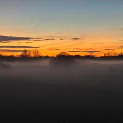 Mohsen61400715's profile picture. فوق دکترا در ساخت پانکراس مصنوعی برای درمان دیابت نوع ۱