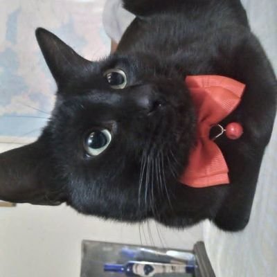 MonroyMigu88203's profile picture. 