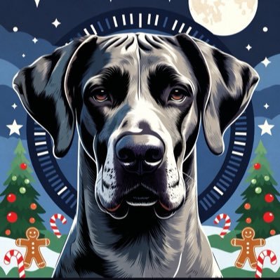 DHolleron's profile picture. God Family Country. US Army Vet and proud Texan. We may not agree but let’s talk anyways. MAGA