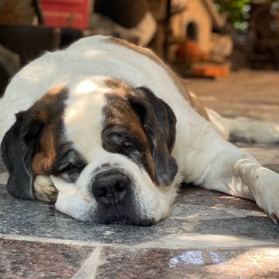 JenniferBu65529's profile picture. 