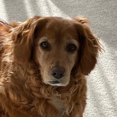 pacey_slc's profile picture. @slocband @unknwnband @livingmirrors @paceaudio