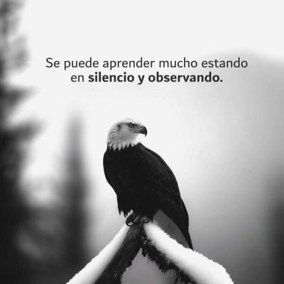 MM9sx9mbkrrp's profile picture. Criminólogo, Vet. FFEE. Autor doctrinal en ciencias del comportamiento para operaciones especiales. Mi libro redefine la intervención táctica desde la mente.