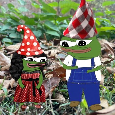 hillbillyfren's profile picture. I’m about growing plants and critters, and improving my local ecosystem. if you can homestead you should. live like Tom Bombadil and be happy. Fren of all frens