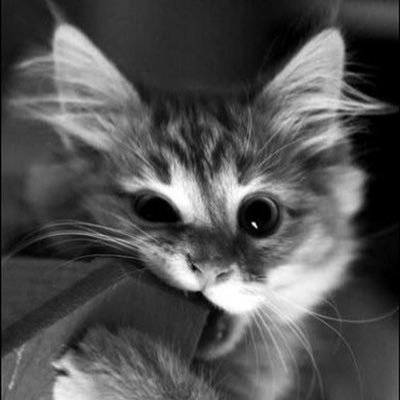 Lightzxr's profile picture. Vos histoires, vos questions, des conseils bienveillants in shaa Allah, entre sœurs 🫶🏼💖 (je ne follow ni hommes ni répond à la gente masculine)