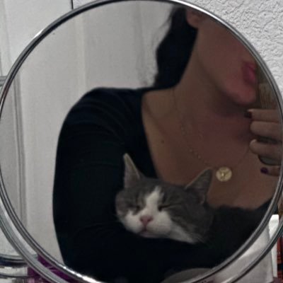 wildrossse's profile picture. bug fixer