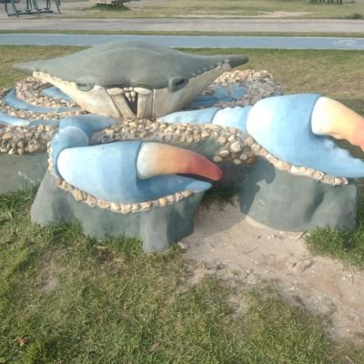 RogrioAlex43811's profile picture. Trabalho com reciclagem ♻️ de papelão e metal