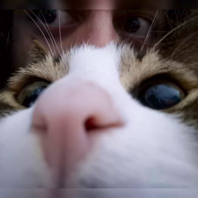 thekissofjudass's profile picture. fütürist, ilkel biyolojik bedenden hoşlanmıyor, mutlakiyet karşıtı, üçdefizik, serbesiyet, ham ham