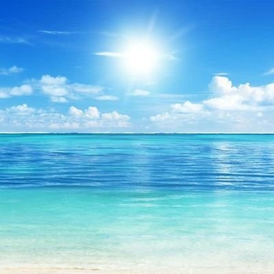 KsrSvHCnq761330's profile picture. 