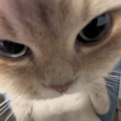 Fior54's profile picture. 