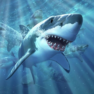 shark0_1's profile picture. jamming max bets