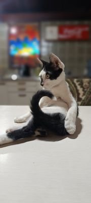 DaianaFariasPB's profile picture. 