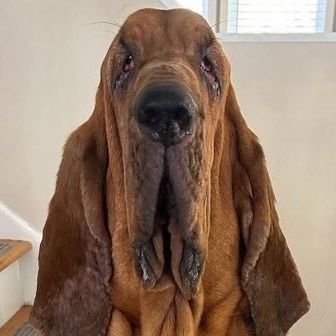 _7xzh's profile picture. #FOSUNOUT  #Dallascowboys  #MFFL