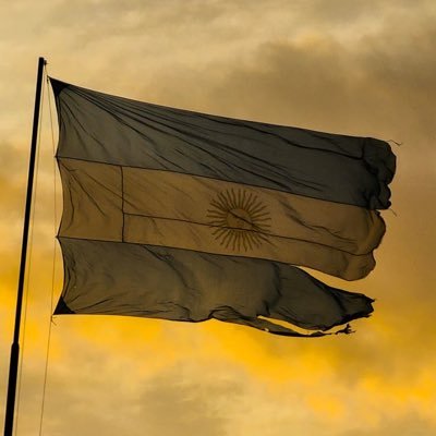 alejosiena2's profile picture. que se pone aca (?