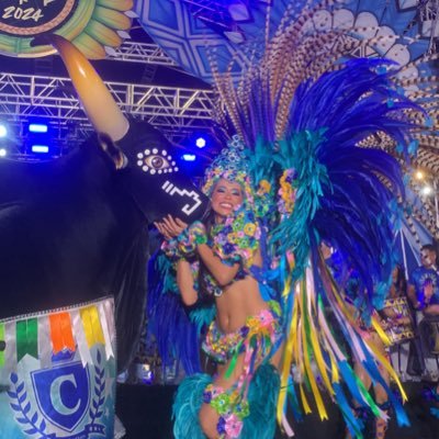 toadaderainha's profile picture. caprichoso já lançou a toada da Cleise ? Ainda não. mas um dia será um “sim”