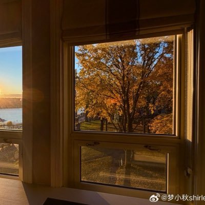 Blueberry134837's profile picture. 