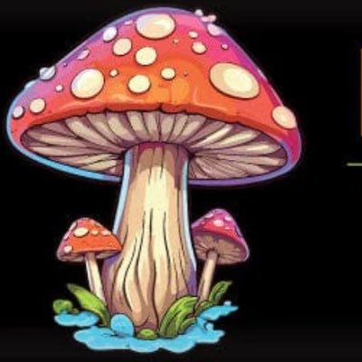 mushroom_bar01's profile picture. Mushroom Chocolate Bar Taste meets clarity. Smooth flavours • Simple ingredients • Crafted for calm energy and mindful moments only . Link 🔗