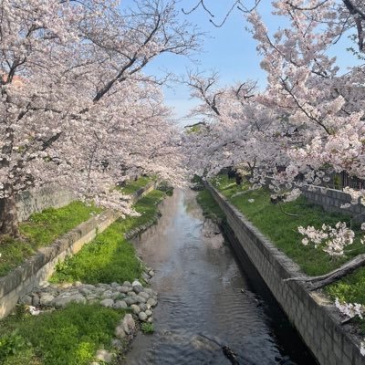 mnm_bluedes's profile picture. のこのこコンサル運営| カフェ☕️|旅行✈️