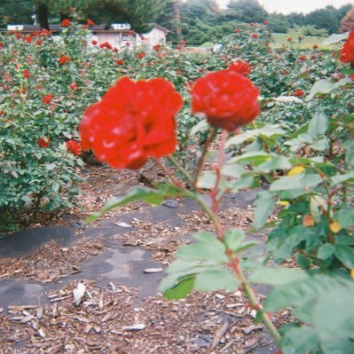 kikichan_travel's profile picture. 23