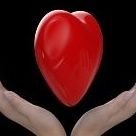 alsooy5's profile picture. 🌿