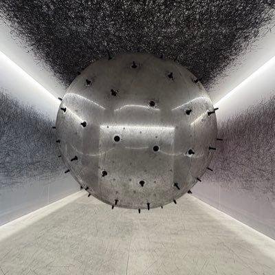 confusdistelle's profile picture. 