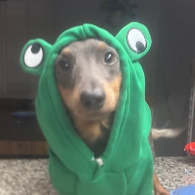 gregBgrumpy's profile picture. Okie U Alum💥 Army Infantry Vet🇺🇸Married🦖Father⚔️Christian✝️ NO DM