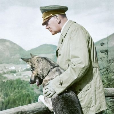 ArmadilloOpera's profile picture. Spreading hatred for free since it brings me glee. Negros first and foremost.  Trannys, Muslim goat fuckers, pajeets, wetbacks, Jews....all a close second.