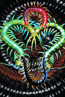 iviputitw's profile picture. @amorcitooos ˃̵ᴗ˂̵ ♡  ¡¡¡ @ripsoulita !!! ♡

@dangyuus ♡﹒◜ᴗ◝.    ¡¡¡ @eluUuUb !!! ♡