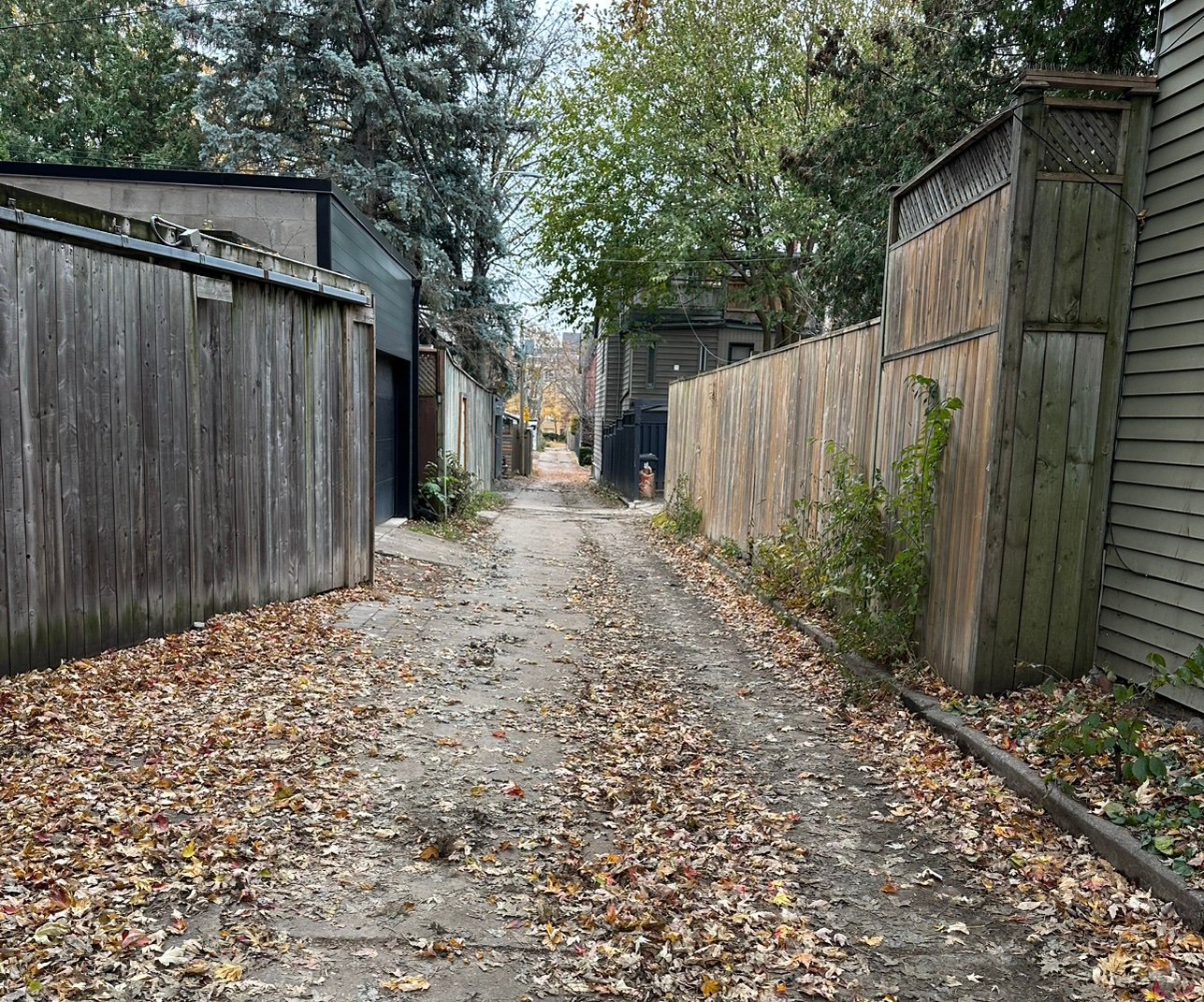 AnneCathLady's profile picture. 